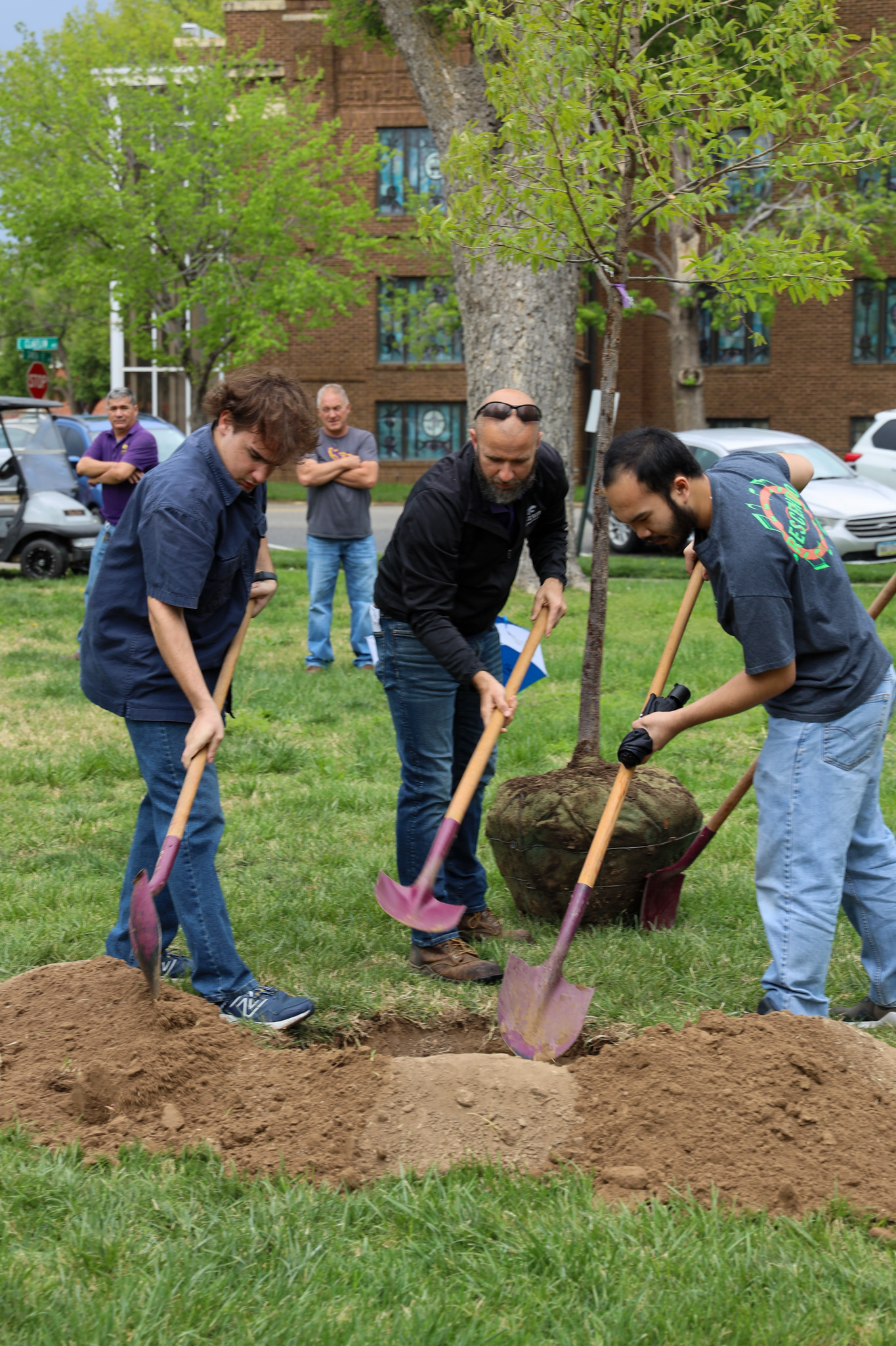 Three men digging to plant tree