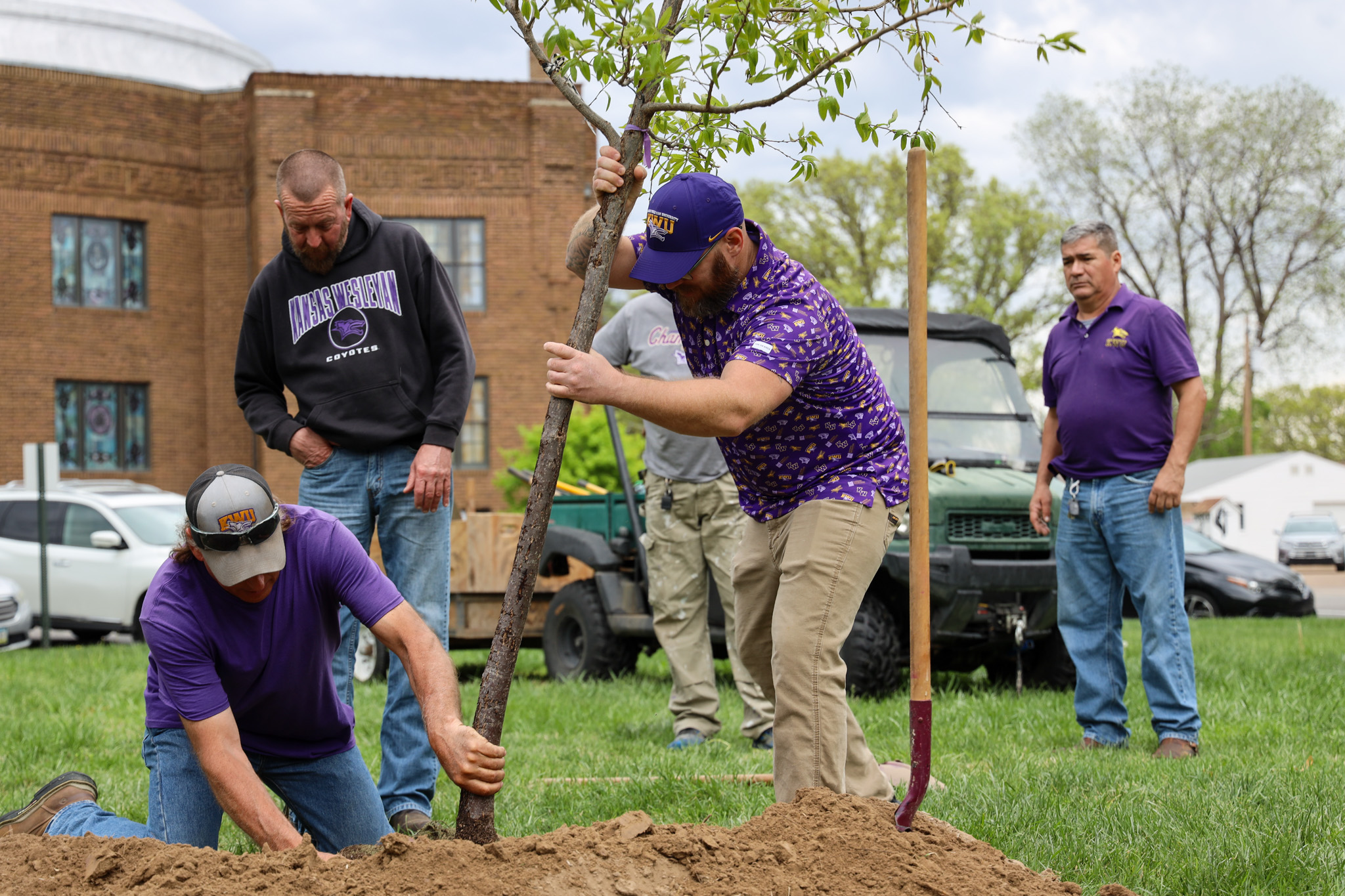 Man sticking tree in ground