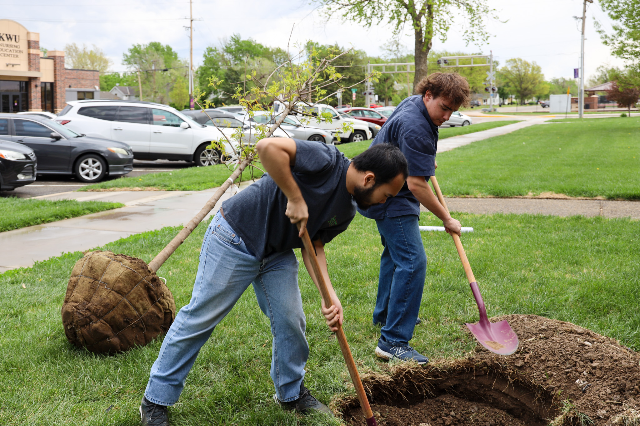 Two students digging to plant tree