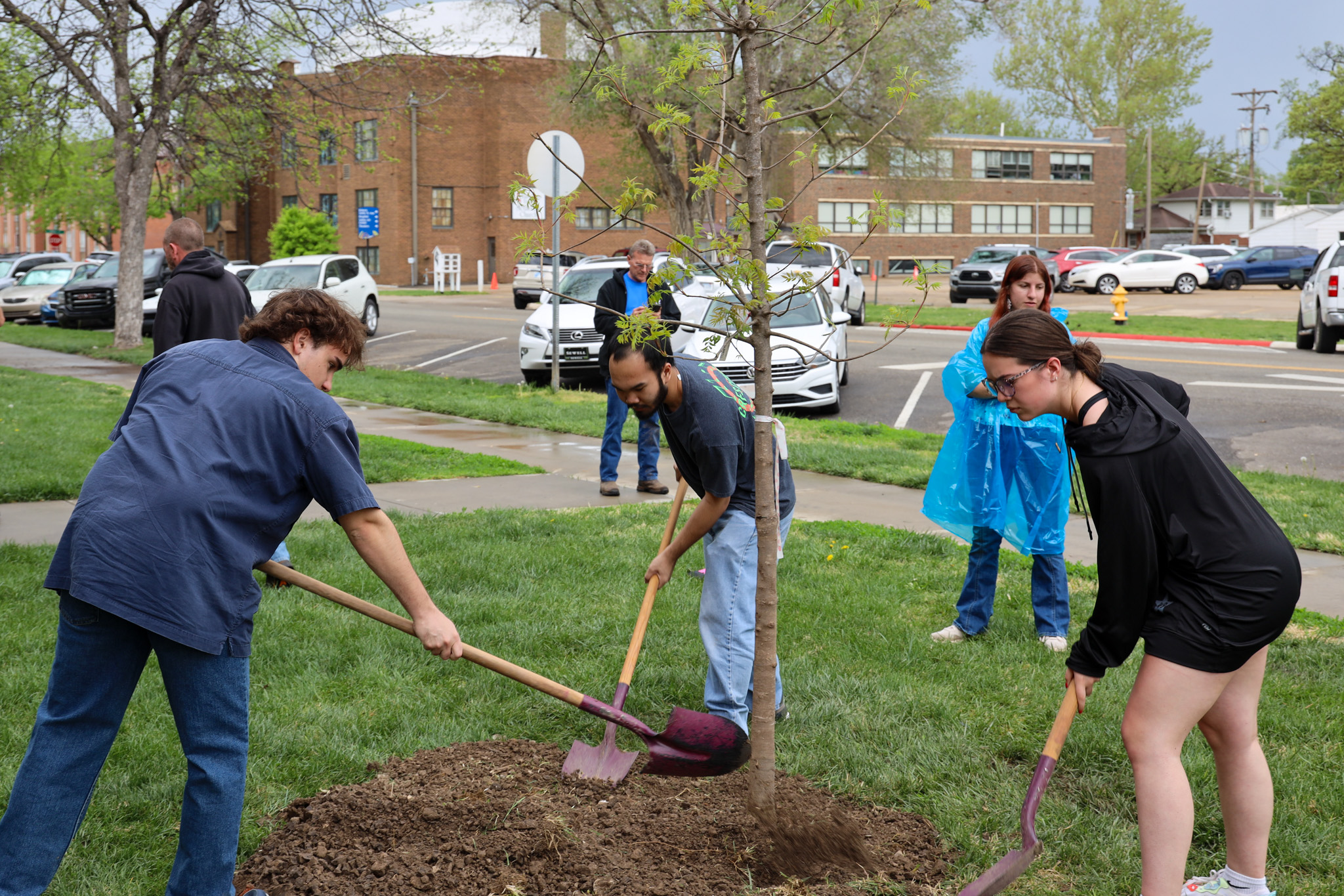 Three students digging to plant tree