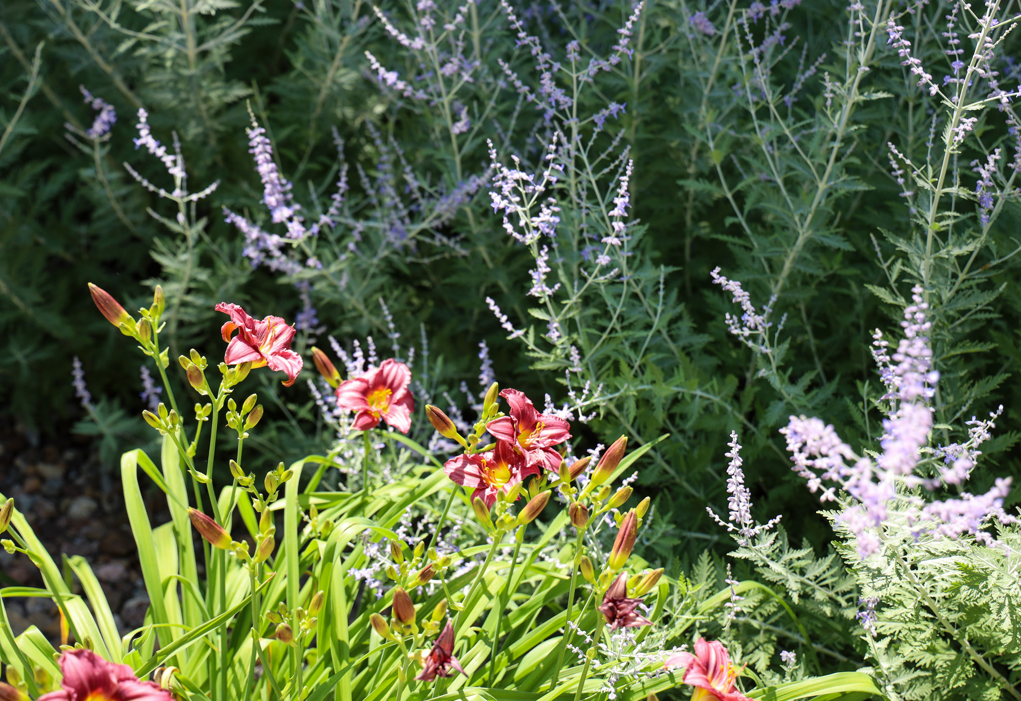 Flowers with greenery around/behind