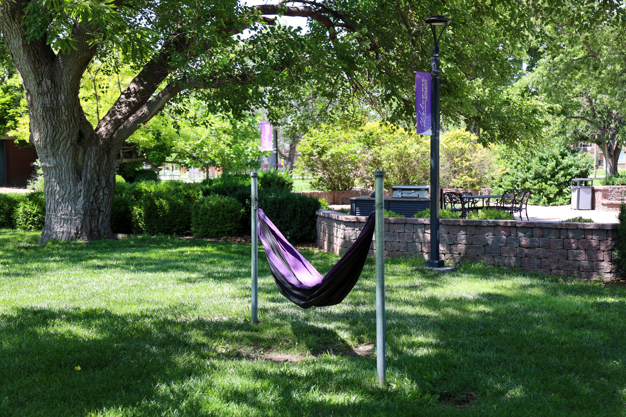 Hammock on campus